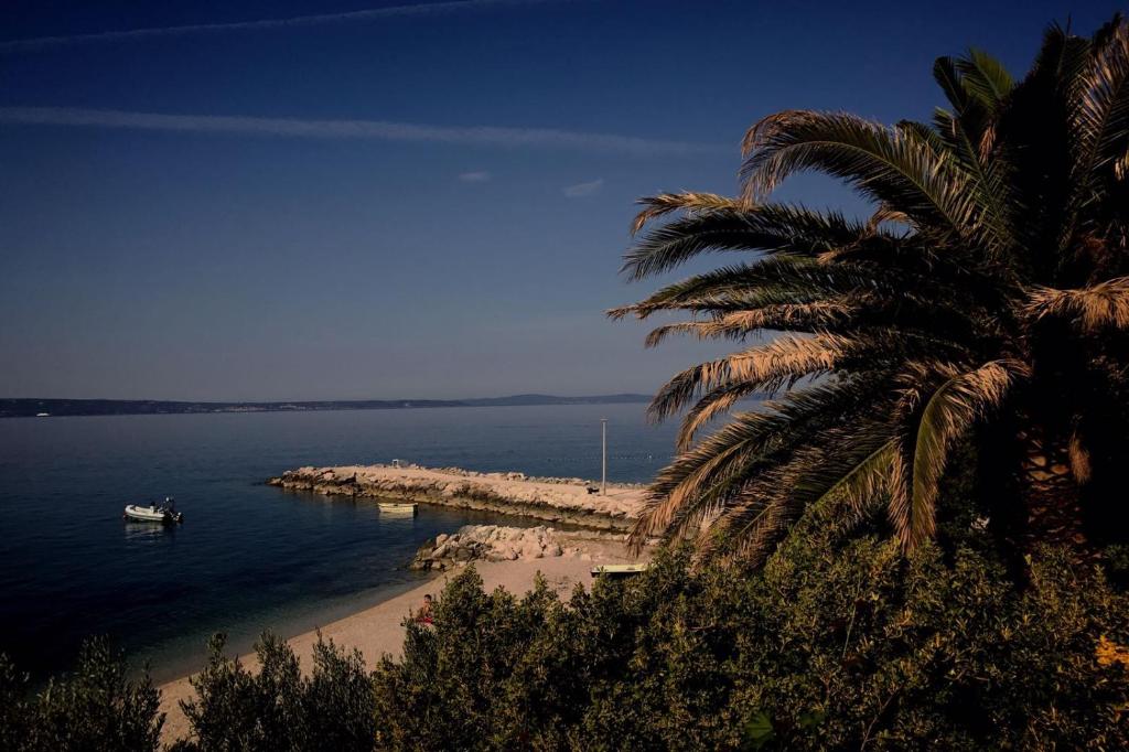 a palm tree on a beach with a boat in the water at Apartments and Rooms Tomas in Podstrana