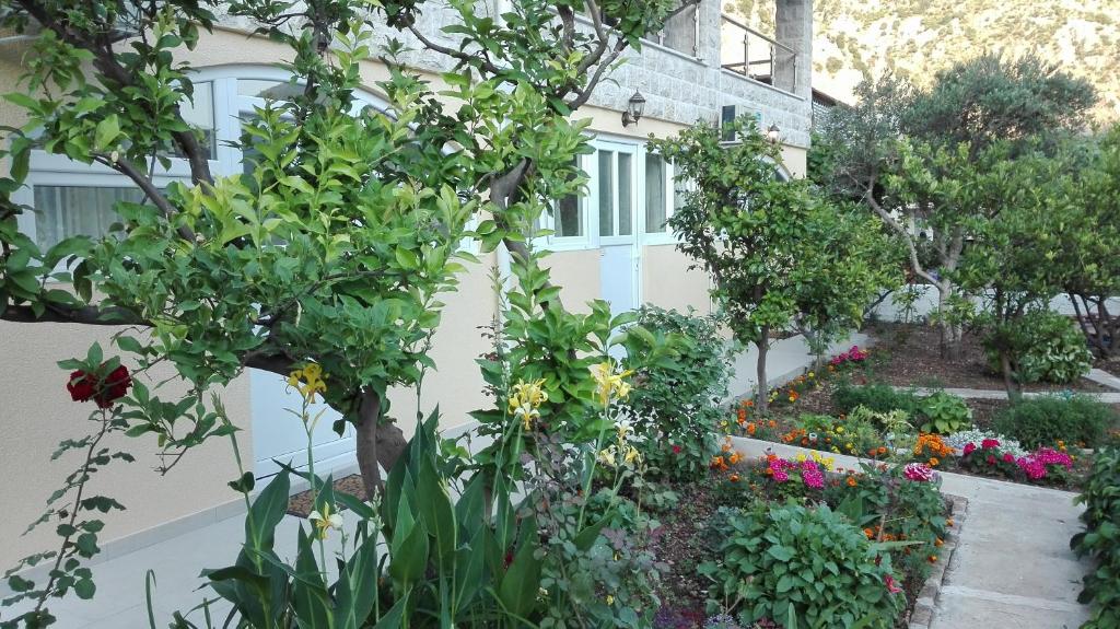 Kotor Kelly Apartments - 2