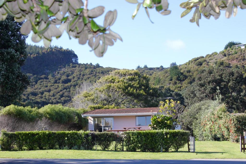 Hot Water Beach Cottage - One-Bedroom House