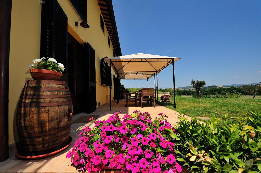 Zahrada ubytování Podere Casalsole