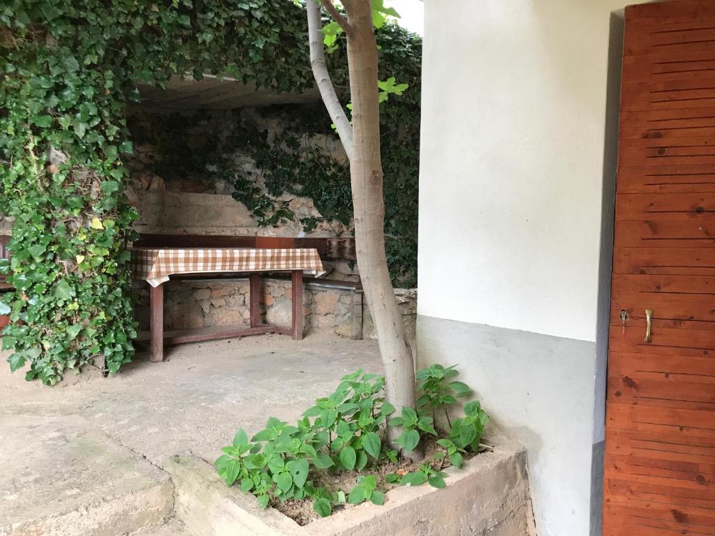 Sonce Guest House - Studio