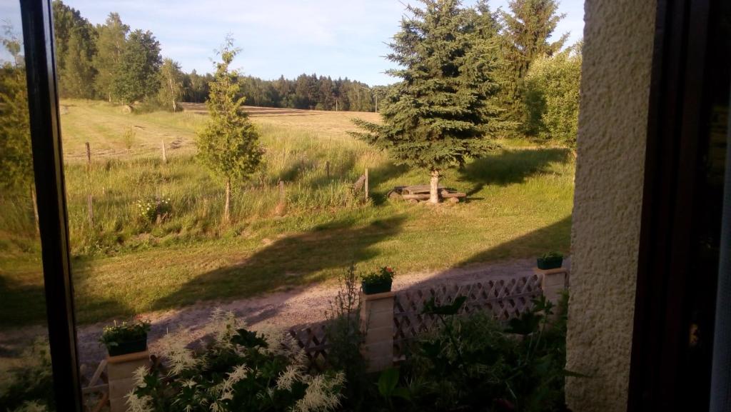 Příroda nedaleko penzionu