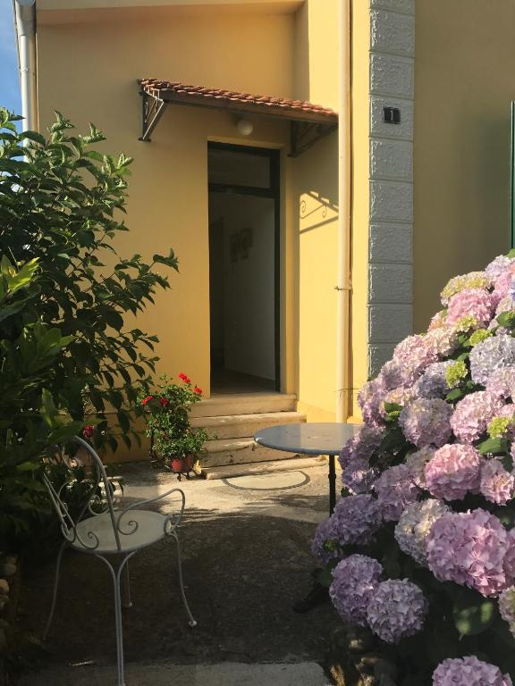 Zahrada ubytování House Grabic