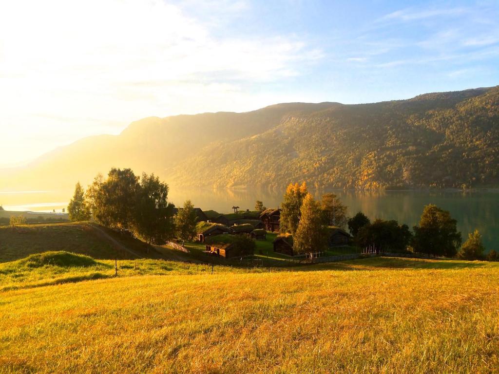 Sygard Storrvik - Hizvo