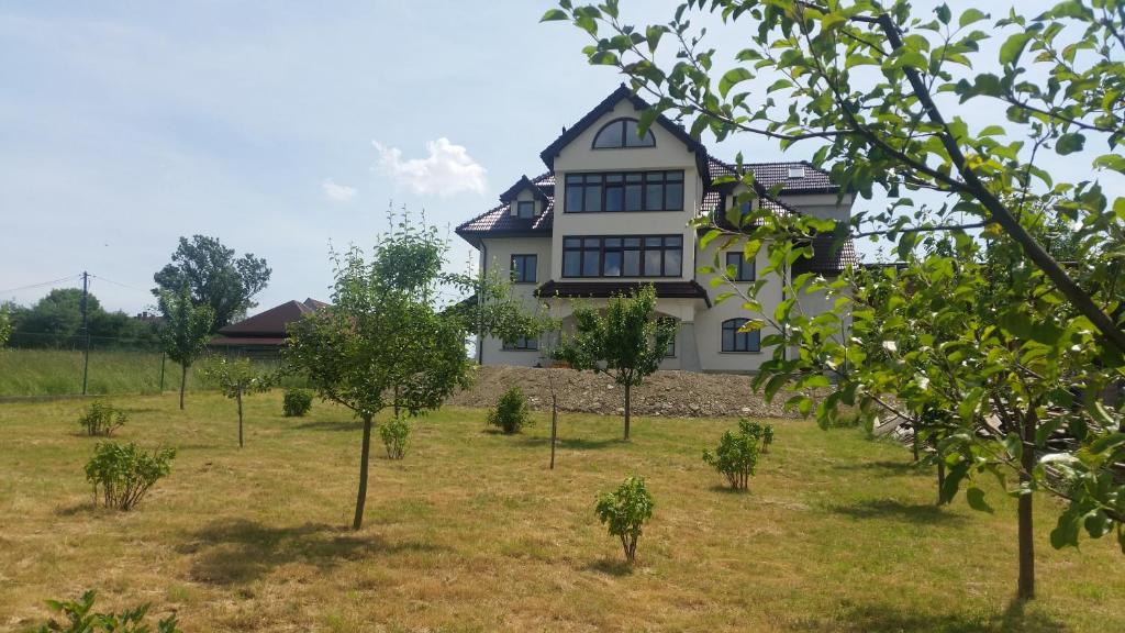 ein großes Haus auf einem Feld mit Bäumen in der Unterkunft Willa Ostoja in Rabka-Zdrój