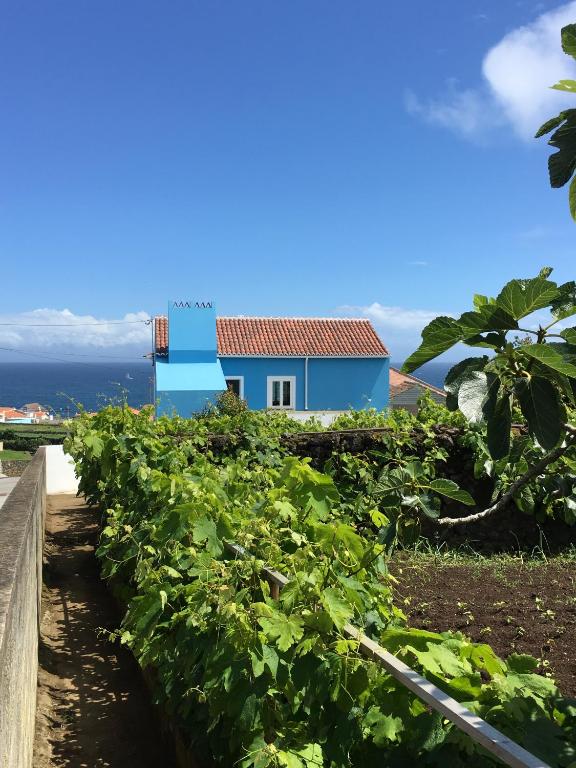 a house on top of a field of crops at Casa do Vizinho in Porto Judeu