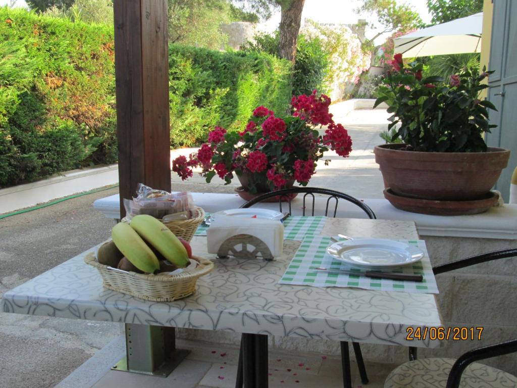 Zahrada ubytování Hotel Tropical