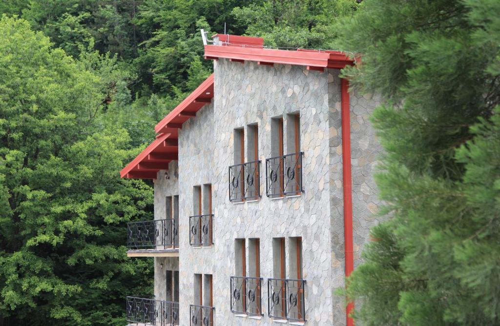 TrnicaにあるHotel Korab Trnicaの赤い屋根と窓と木々のある建物