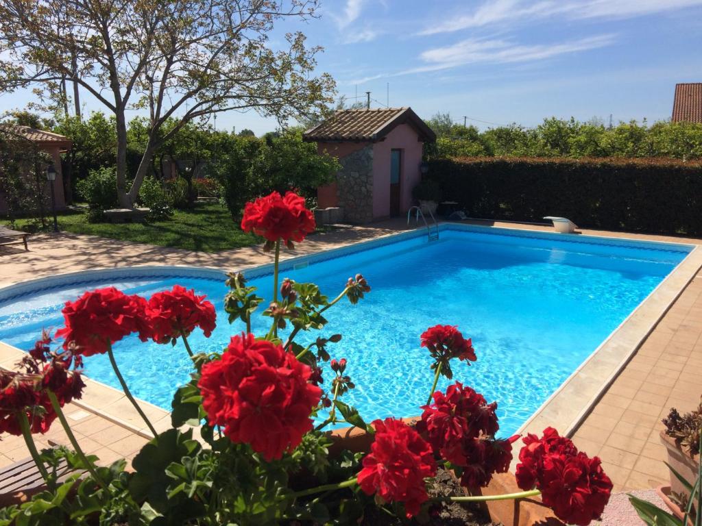 ein Pool mit roten Blumen davor in der Unterkunft Il Giardino Segreto B&B in Trappitello
