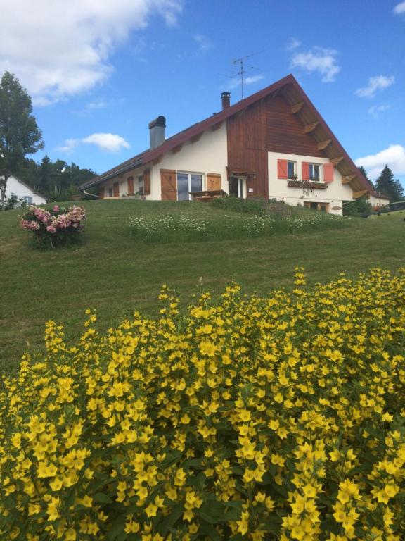 a field of yellow flowers in front of a house at Au Charnet in Les Fourgs