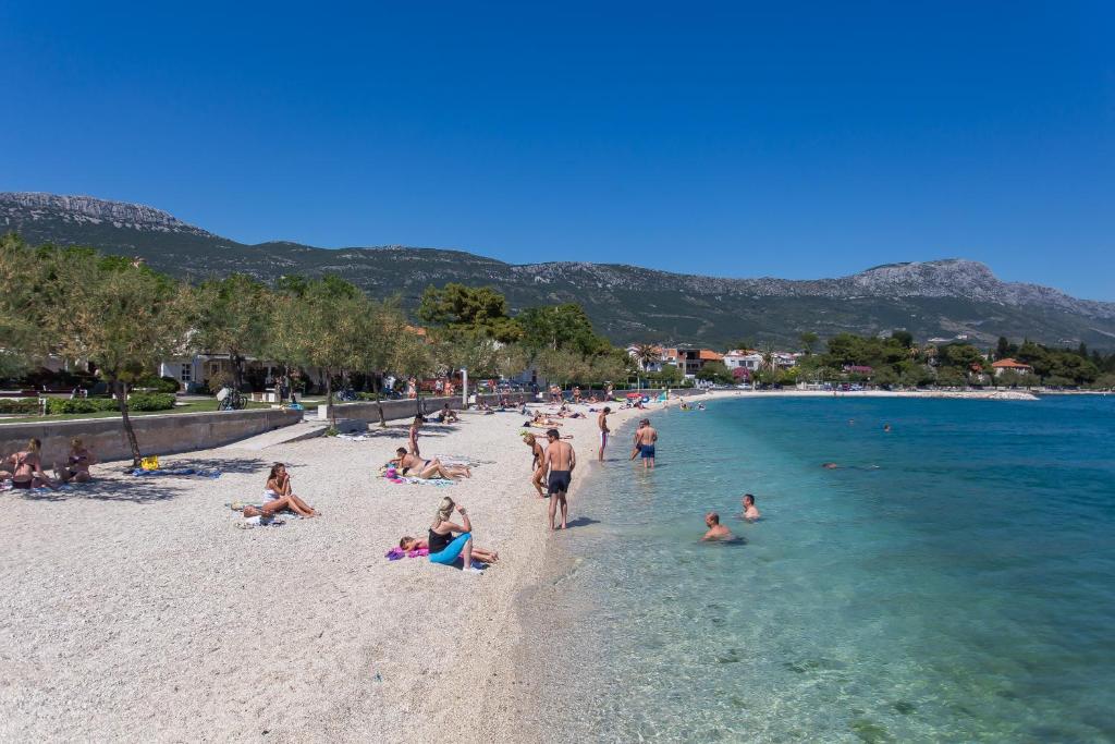 Príroda v okolí apartmánu