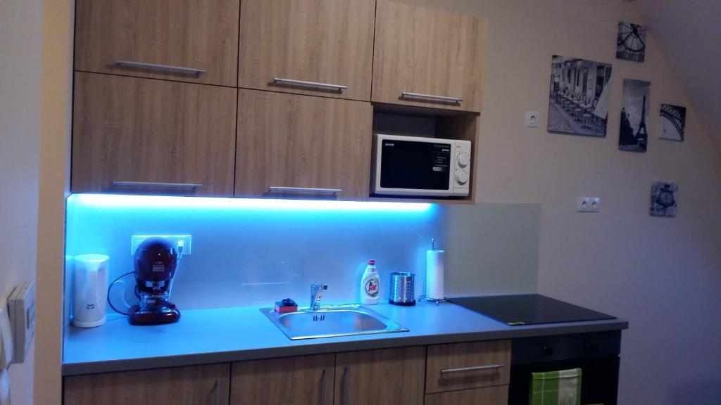 Kuchnia lub aneks kuchenny w obiekcie Tahiti apartman
