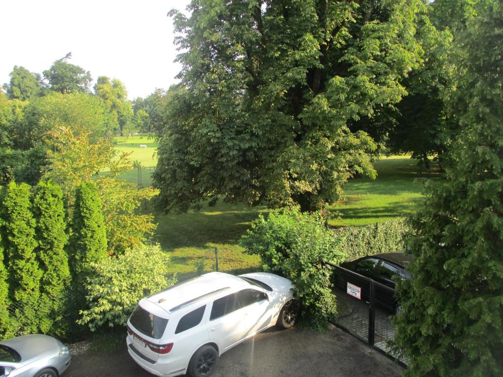 Vonkajšia záhrada v ubytovaní Gdynia Orlowo Honey Apartment