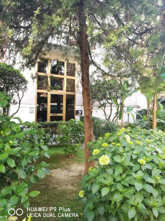 a garden with yellow flowers in front of a building at Costaguta Apartment in Rapallo