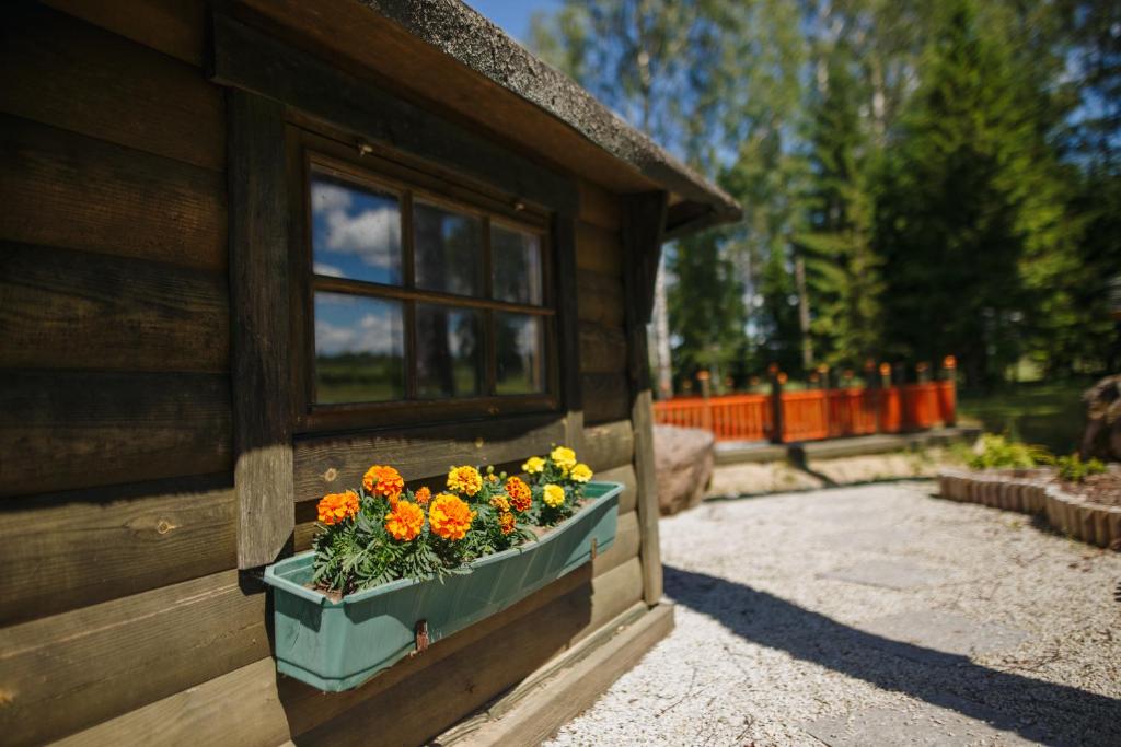 Zahrada ubytování Spa Glamping