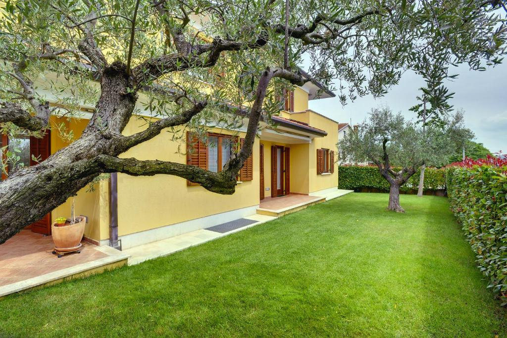 una casa con un patio verde con un árbol en Villa NiNa B&B Rovinj, en Rovinj