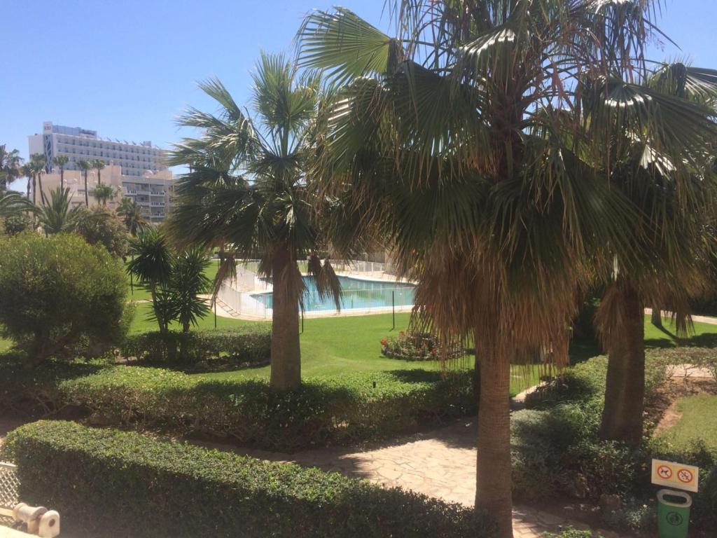 Fotografie z fotogalerie ubytování Apartamento Playasol Garden v destinaci Torremolinos