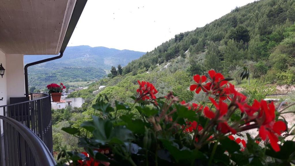 Nespecifikovaný výhled na hory nebo výhled na hory při pohledu z bed and breakfast