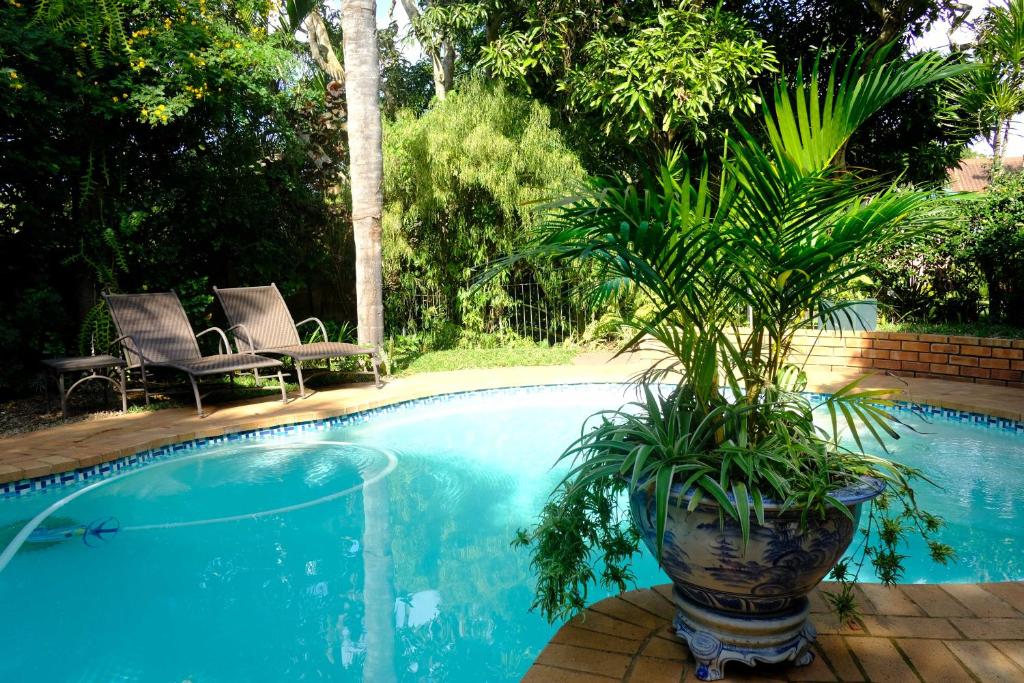 a potted plant sitting next to a swimming pool at Santa Lucia Guest House in St Lucia