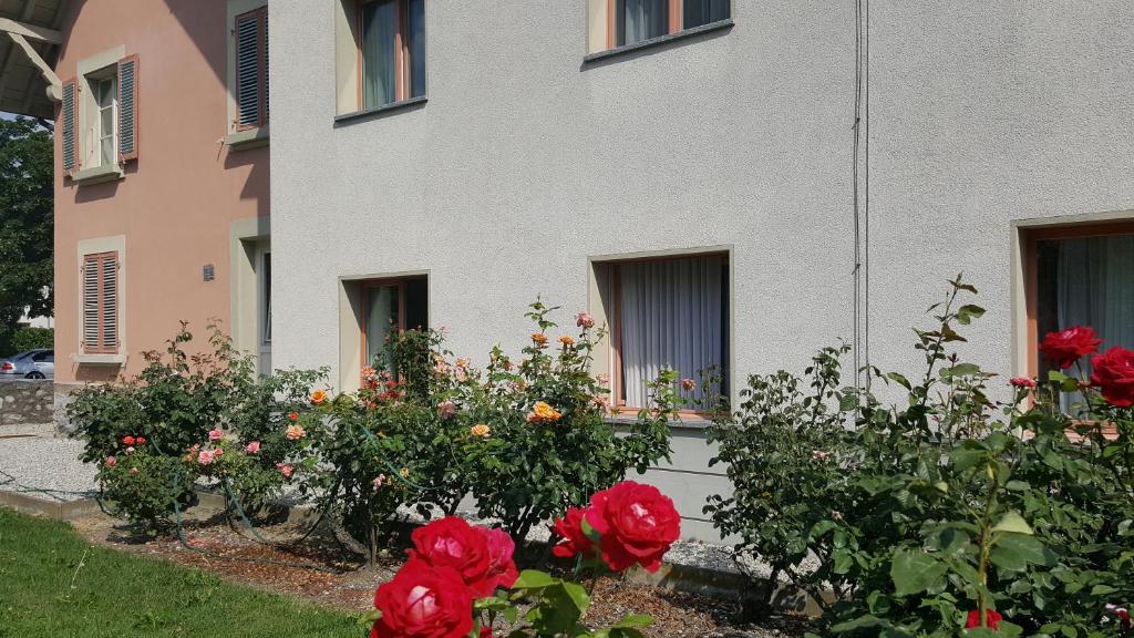 Zahrada ubytování Hôtel les Berges