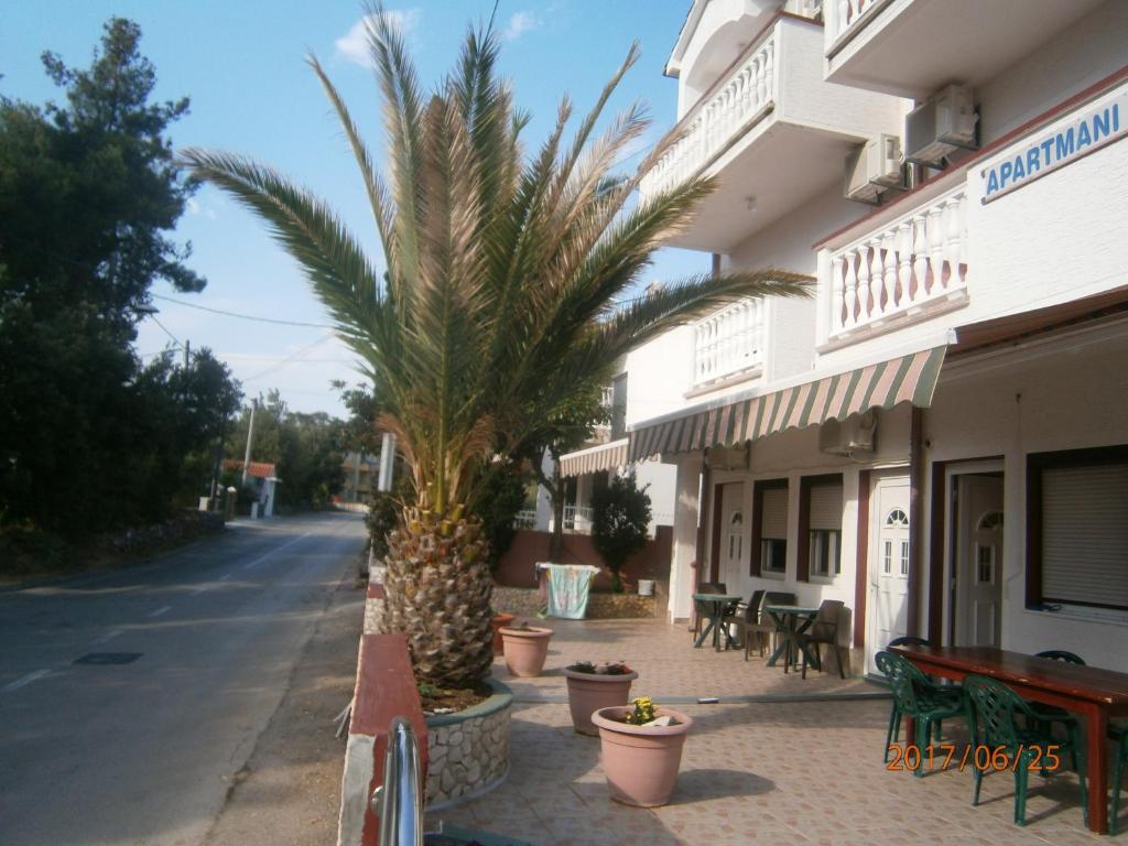 a palm tree on a sidewalk next to a building at Apartments Drago in Petrcane