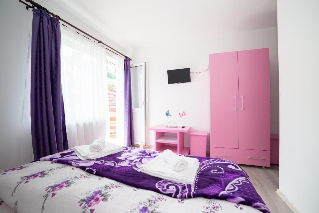 Pensiunea Constanta - Chambre Double Avec Salle De Bain Privée