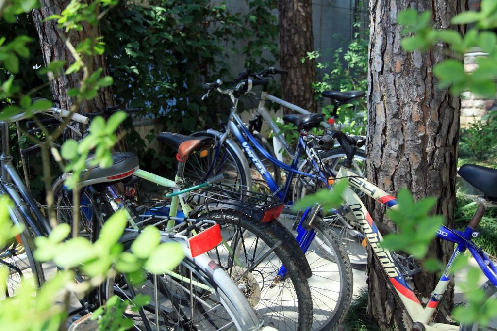 Jízda na kole v ubytování Hotel Princi i Vogel nebo okolí