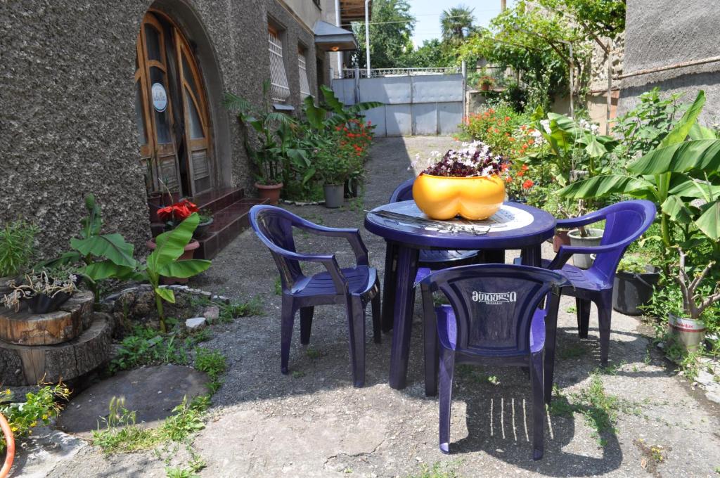 Zahrada ubytování Guest House Cico
