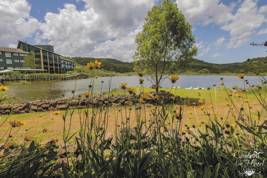  Cambará Eco Hotel