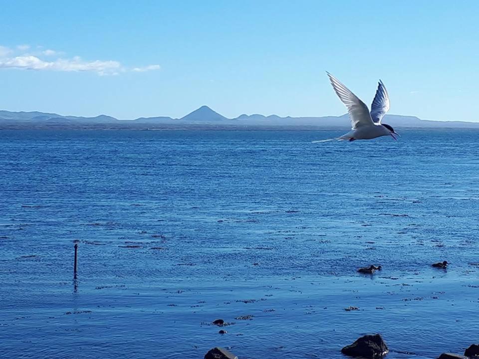 Fotografie z fotogalerie ubytování RVK HoriZon v destinaci Álftanes