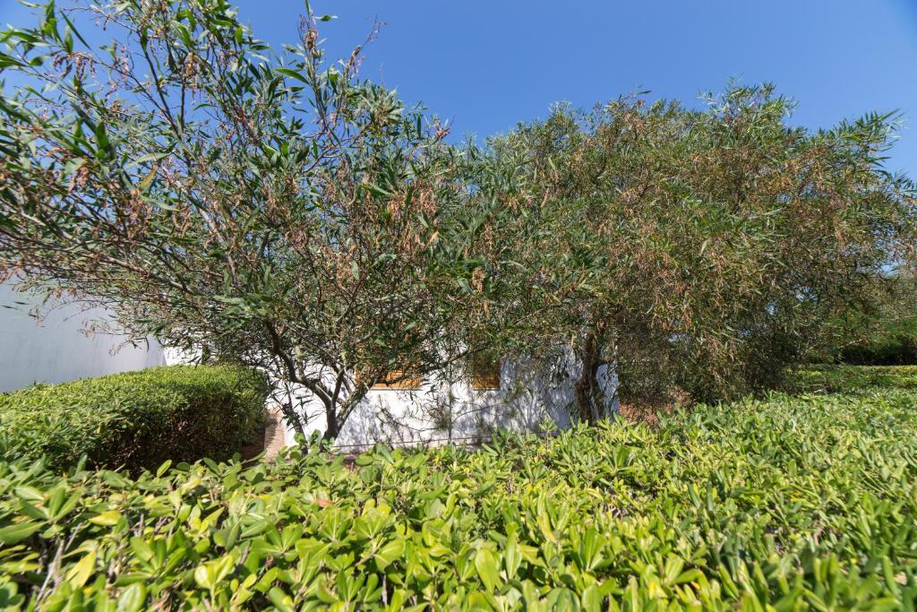 Сад в Salento Paradiso