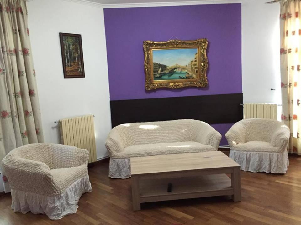 コンスタンツァにあるGarsoniera Alexandraの紫の壁のリビングルーム(椅子2脚付)
