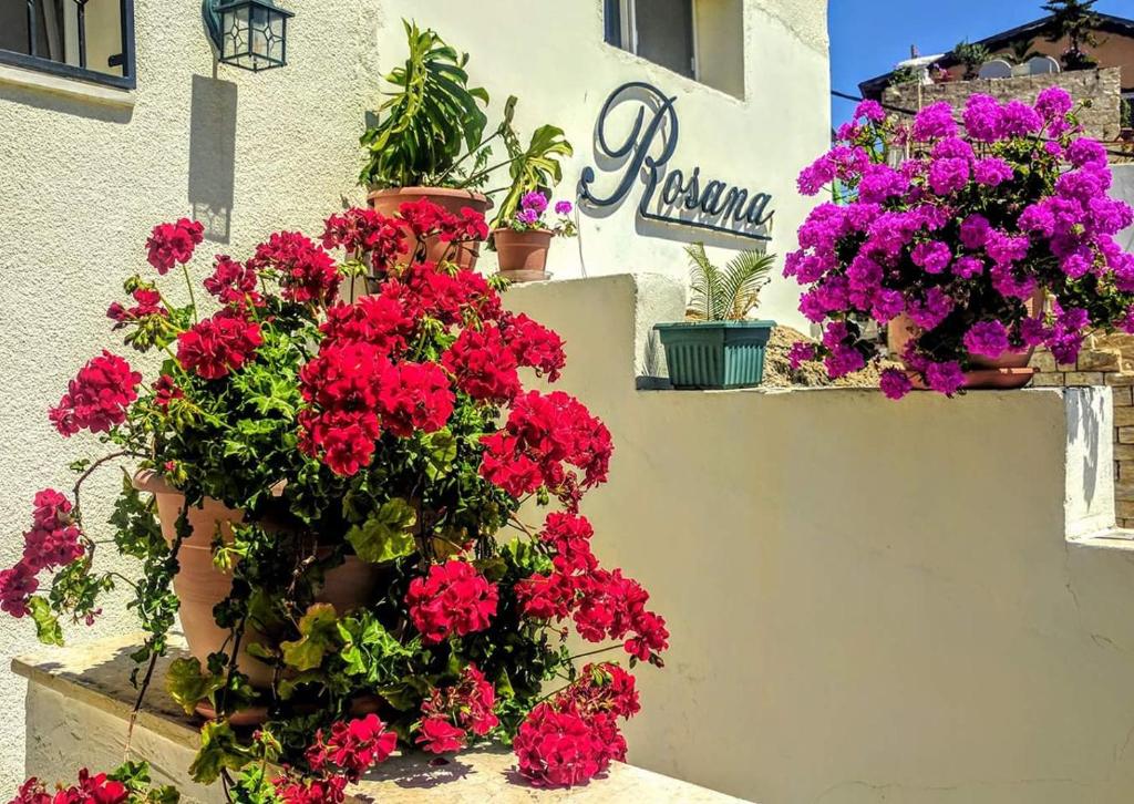 Zahrada ubytování Rosana guest house