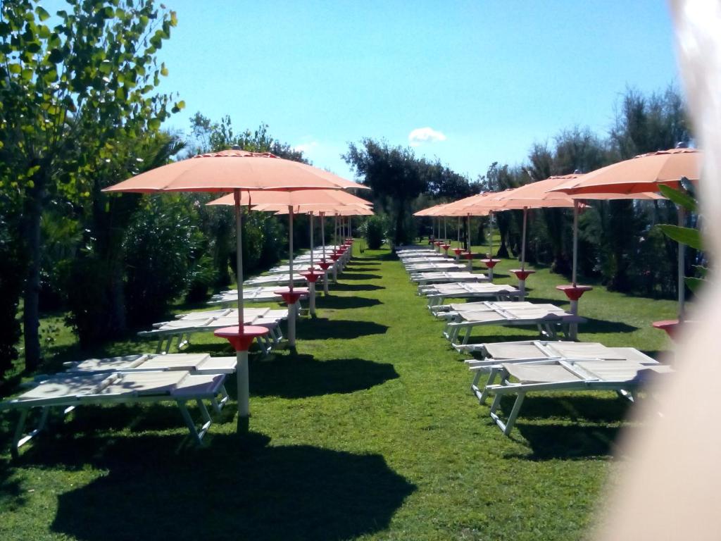 Zahrada ubytování Lido Villaggio il Ragno