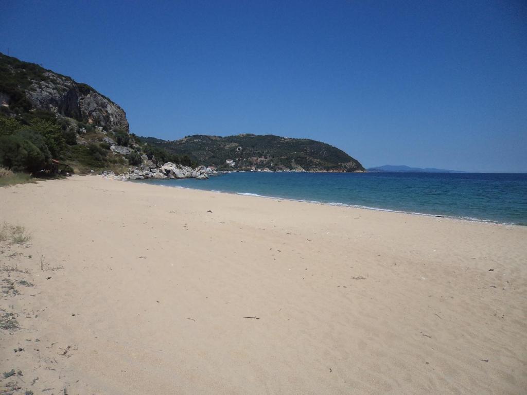 Príroda v okolí hotela