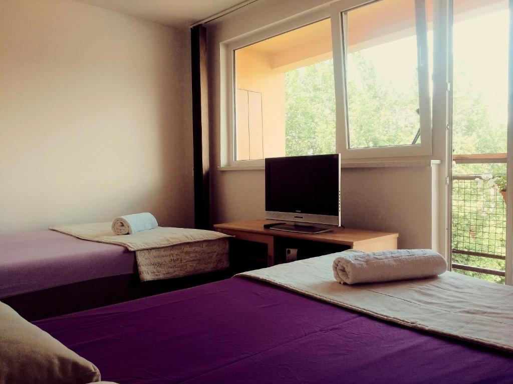 Pokój z 2 łóżkami, telewizorem i oknem w obiekcie Apartments Ćemo w Sarajewie