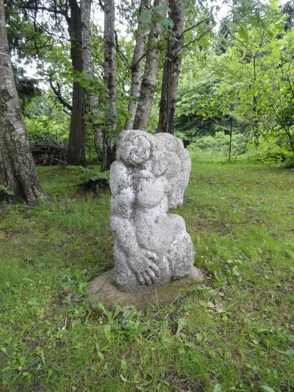 Zahrada ubytování Penzion Ve Vile