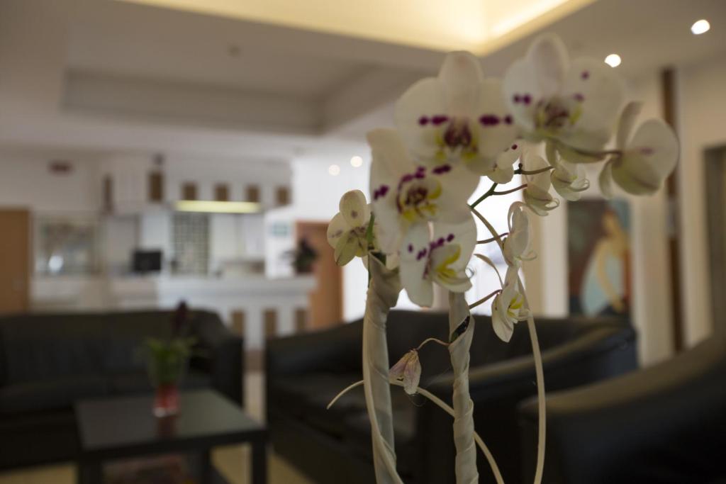 Posezení v ubytování Hotel Impero