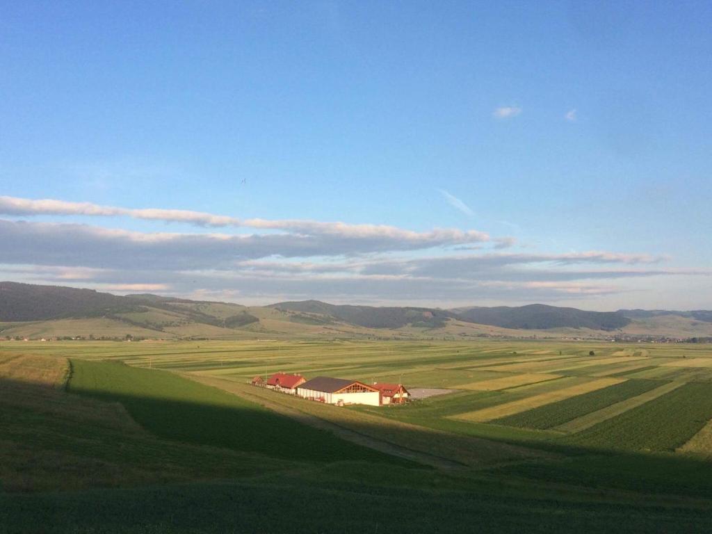 a red barn in a green field with mountains in the background at Kavalliera Pensiune in Cotormani