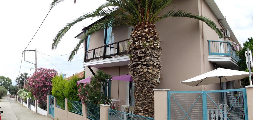 a palm tree in front of a building at Studio Napoleon in Skala Sotiros