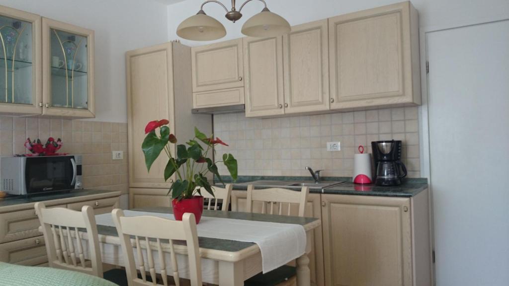 Kuchyň nebo kuchyňský kout v ubytování Apartments Ruzica
