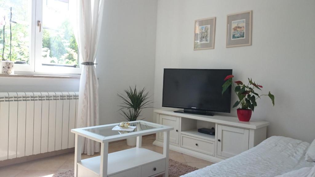 TV a/nebo společenská místnost v ubytování Apartments Ruzica