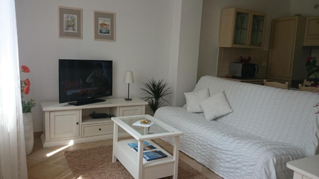 TV a/nebo společenská místnost v ubytování Apartments Ruzica