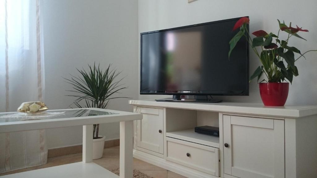 TV a/nebo společenská místnost v ubytování Apartments Ruzica