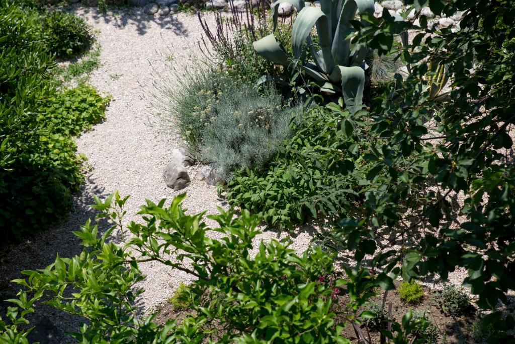 Casa Galleria Rica - 10