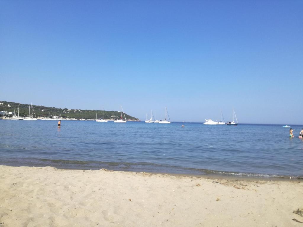 Φυσικό τοπίο κοντά σε αυτό το διαμέρισμα