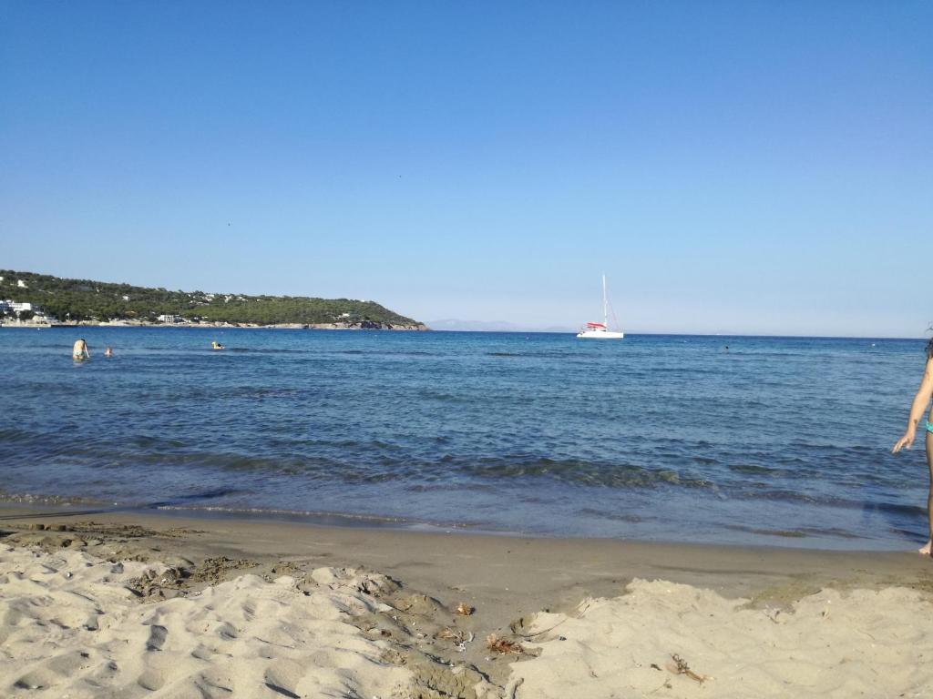 Φυσικό τοπίο κοντά σε αυτό το διαμέρισμα