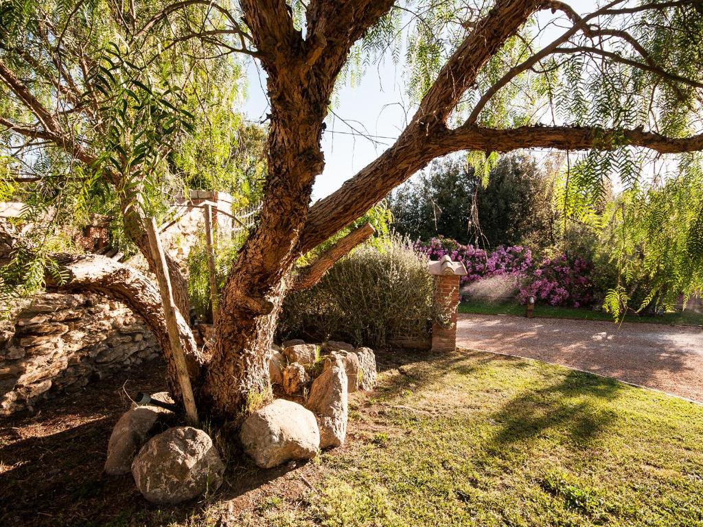 Giardino di Casalventodimare e Tramontana