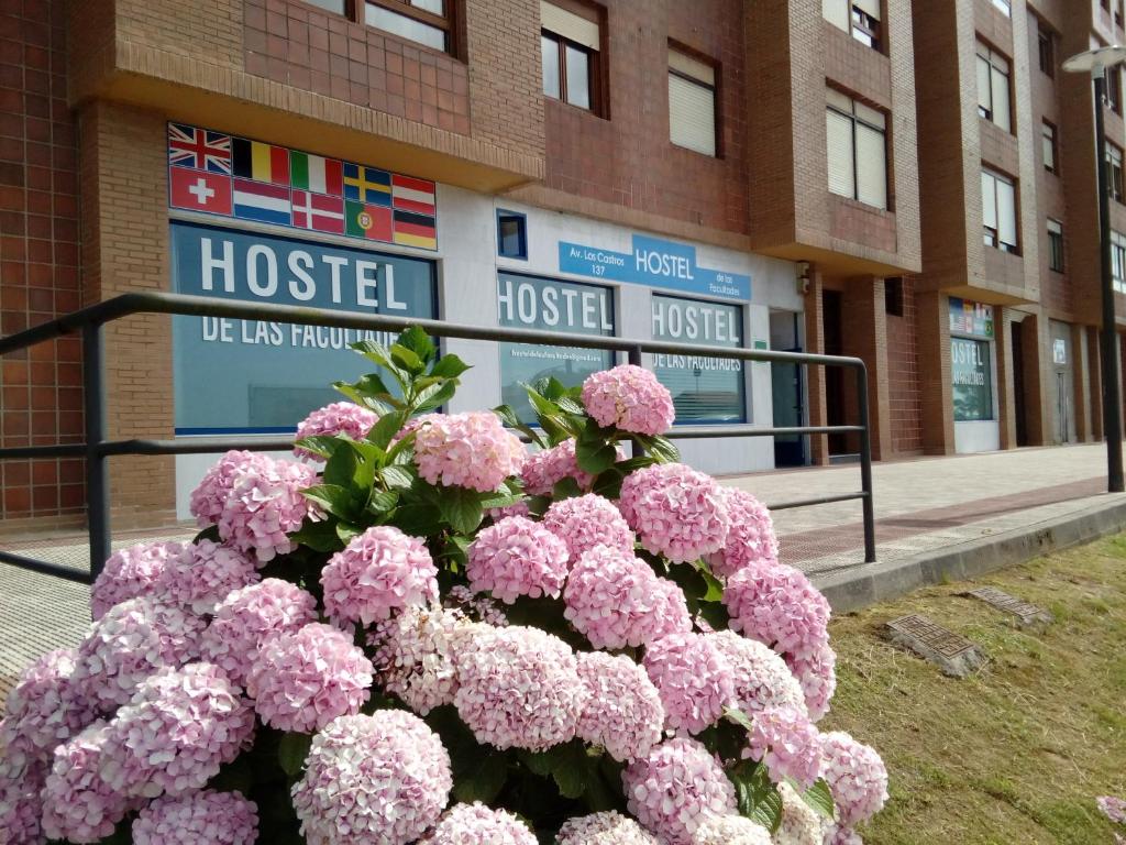 a bunch of pink flowers in front of a hospital at Hostel de las Facultades in Santander