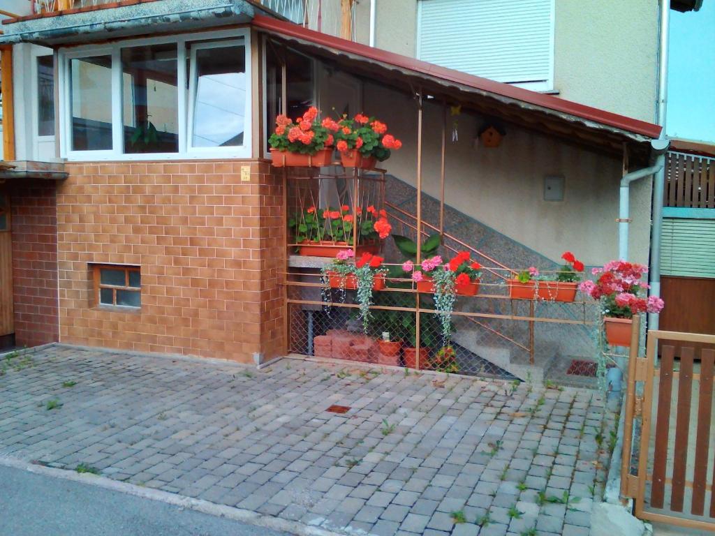 Apartment Janja
